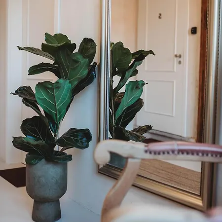 Casarosa Grande Boutique Apt,