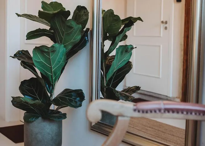 Casarosa Grande Boutique Apt,